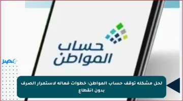 لحل مشكلة توقف حساب المواطن: خطوات فعالة لاستمرار الصرف بدون انقطاع